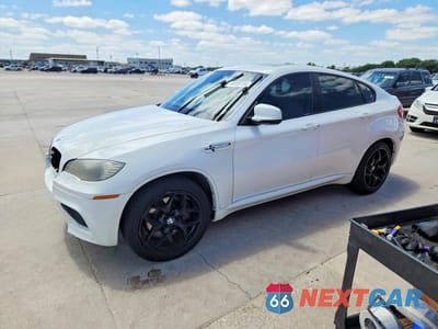 2010 BMW X6 M 5YMGZ0C50ALK13081 - główne zdjęcie licytacji z USA - miniatura
