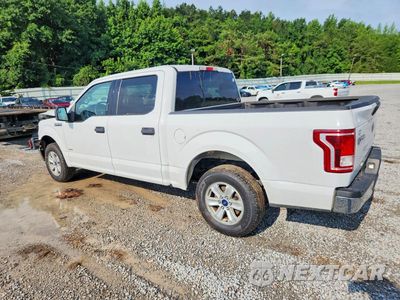 Drugie zdjęcie samochodu z przodu: 2016 FORD F150 SUPERCREW VIN:1FTEW1CPXGFC26704 - miniatura