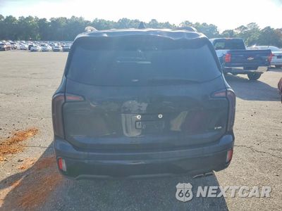 Zdjęcie 6 z 13 samochodu: 2025 KIA TELLURIDE EX X-LINE VIN:5XYP3DGC4SG601941 - miniatura