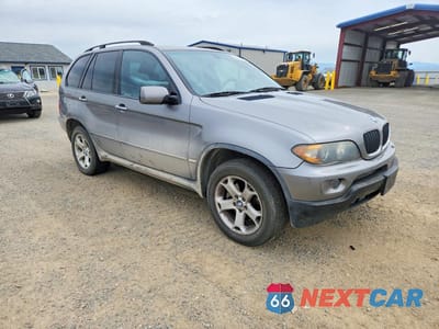 Czwarte zdjęcie samochodu z boku: 2006 BMW X5 3.0I VIN:5UXFA13566LY42416 - miniatura