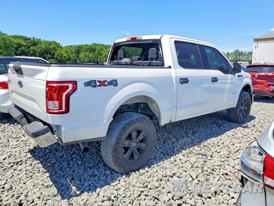 Trzecie zdjęcie samochodu z tyłu: 2016 FORD F150 SUPERCREW VIN:1FTEW1EG7GFC59186 - miniatura