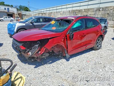 2024 FORD ESCAPE ST LINE 1FMCU9MN4RUA47464 - główne zdjęcie licytacji z USA - miniatura