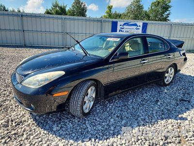 2005 LEXUS ES 330 JTHBA30G755136560 - główne zdjęcie licytacji z USA - miniatura