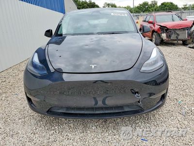 Piąte zdjęcie samochodu w środku: 2025 TESLA MODEL Y VIN:7SAYGDEE4SF282824 - miniatura