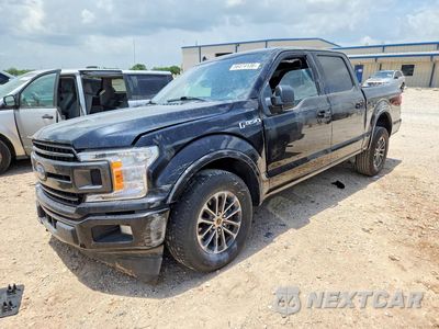 2019 FORD F150 SUPERCREW 1FTEW1CP7KKC31147 - główne zdjęcie licytacji z USA - miniatura