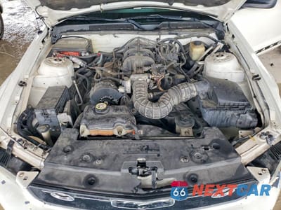 Zdjęcie 11 z 12 samochodu: 2008 FORD MUSTANG VIN:1ZVHT80N985115437 - miniatura