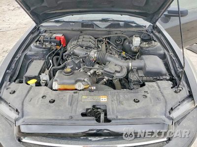 Zdjęcie 11 z 12 samochodu: 2013 FORD MUSTANG VIN:1ZVBP8AM0D5215839 - miniatura