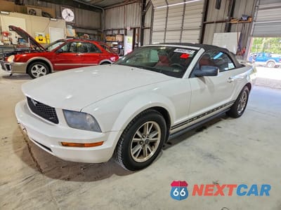 2005 FORD MUSTANG 1ZVFT84N555199494 - główne zdjęcie licytacji z USA - miniatura