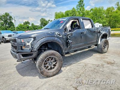 2019 FORD F150 RAPTOR 1FTFW1RG7KFA58069 - główne zdjęcie licytacji z USA - miniatura
