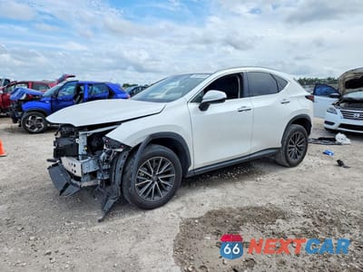 2023 LEXUS NX 250 JTJADCAZ0P2006951 - główne zdjęcie licytacji z USA - miniatura