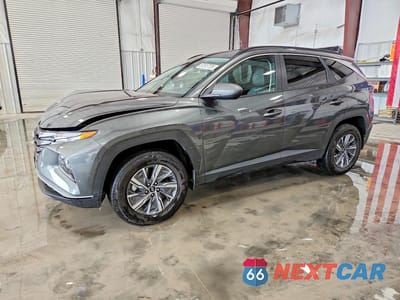 2024 HYUNDAI TUCSON BLUE KM8JBCD17RU223477 - główne zdjęcie licytacji z USA - miniatura