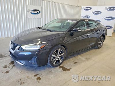 2020 NISSAN MAXIMA SV 1N4AA6CV0LC375228 - główne zdjęcie licytacji z USA - miniatura
