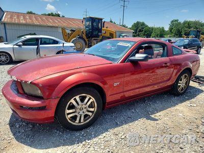 2006 FORD MUSTANG GT 1ZVFT82HX65168370 - główne zdjęcie licytacji z USA - miniatura