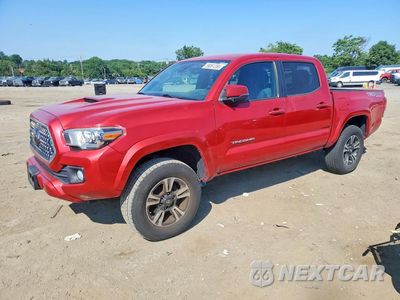2019 TOYOTA TACOMA TRD SPORT 3TMCZ5ANXKM269018 - główne zdjęcie licytacji z USA - miniatura