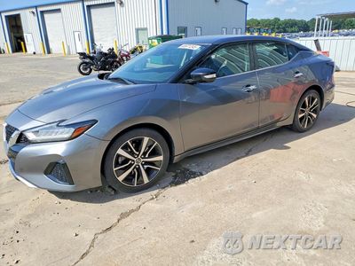 2021 NISSAN MAXIMA SV 1N4AA6CV4MC504587 - główne zdjęcie licytacji z USA - miniatura