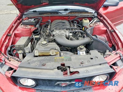 Zdjęcie 11 z 12 samochodu: 2006 FORD MUSTANG GT VIN:1ZVHT82H765198595 - miniatura