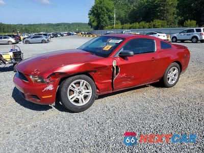 2010 FORD MUSTANG 1ZVBP8ANXA5126963 - główne zdjęcie licytacji z USA - miniatura