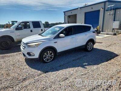 2017 FORD ESCAPE SE 1FMCU0GD3HUB05299 - główne zdjęcie licytacji z USA - miniatura