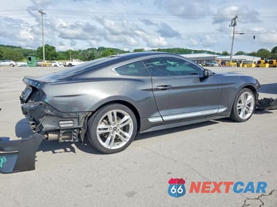 Trzecie zdjęcie samochodu z tyłu: 2019 FORD MUSTANG VIN:1FA6P8TH1K5203190 - miniatura