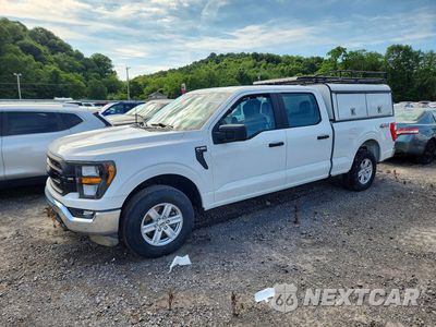 2023 FORD F150 SUPERCREW 1FTFW1E89PKF81655 - główne zdjęcie licytacji z USA - miniatura