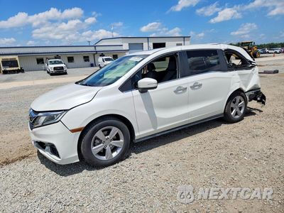 2020 HONDA ODYSSEY EXL 5FNRL6H71LB002123 - główne zdjęcie licytacji z USA - miniatura