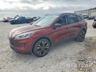 2021 FORD ESCAPE SE 1FMCU9BZ8MUA05216 - główne zdjęcie licytacji z USA - miniatura
