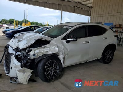 2024 LEXUS NX 250 BASE JTJADCAZ2R5018102 - główne zdjęcie licytacji z USA - miniatura