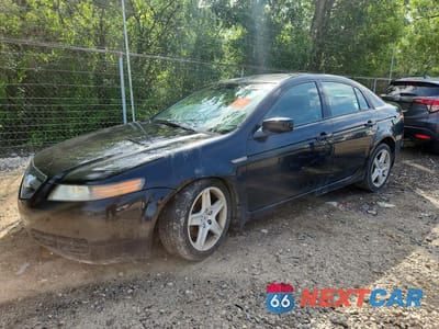 2005 ACURA TL 19UUA66225A063663 - główne zdjęcie licytacji z USA - miniatura