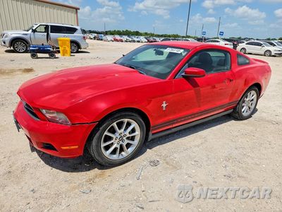 2010 FORD MUSTANG 1ZVBP8AN6A5181216 - główne zdjęcie licytacji z USA - miniatura