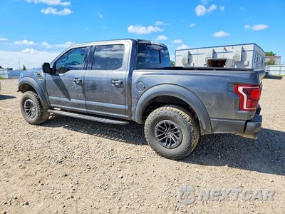 Drugie zdjęcie samochodu z przodu: 2019 FORD F150 RAPTOR VIN:1FTFW1RG5KFD46351 - miniatura