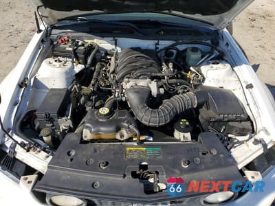 Zdjęcie 11 z 12 samochodu: 2006 FORD MUSTANG GT VIN:1ZVFT82H365209678 - miniatura