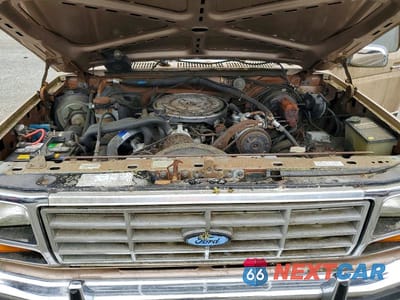 Zdjęcie 11 z 12 samochodu: 1986 FORD F250 VIN:1FTHX25L7GKA72082 - miniatura