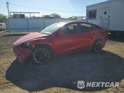 2023 TESLA MODEL Y 7SAYGDEE8PF928230 - główne zdjęcie licytacji z USA - miniatura