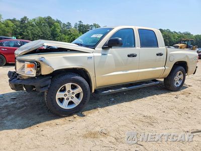 2011 DODGE DAKOTA SLT 1D7RW3GPXBS708540 - główne zdjęcie licytacji z USA - miniatura