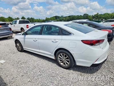Drugie zdjęcie samochodu z przodu: 2019 HYUNDAI SONATA SE VIN:5NPE24AF0KH807151 - miniatura