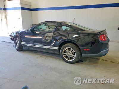 Drugie zdjęcie samochodu z przodu: 2010 FORD MUSTANG VIN:1ZVBP8AN9A5134097 - miniatura