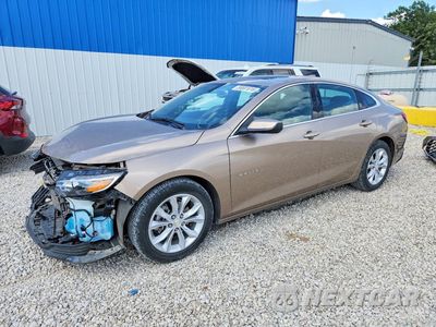 2019 CHEVROLET MALIBU LT 1G1ZD5ST4KF151626 - główne zdjęcie licytacji z USA - miniatura