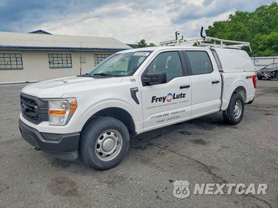 2022 FORD 150 1FTEW1EB4NKE44711 - główne zdjęcie licytacji z USA - miniatura