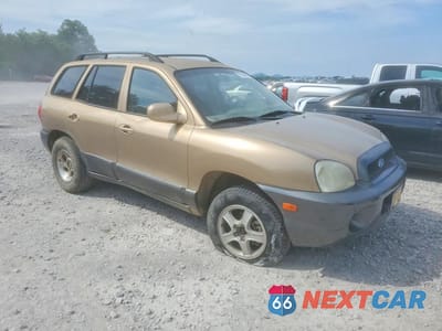 Czwarte zdjęcie samochodu z boku: 2003 HYUNDAI SANTA FE VIN:KM8SB12B63U429370 - miniatura