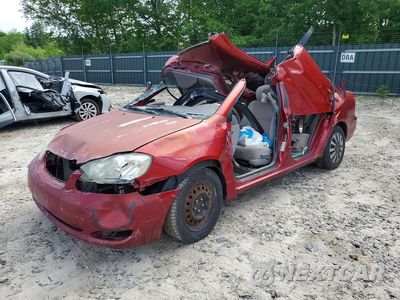 2008 TOYOTA COROLLA LE 2T1BR32E08C901931 - główne zdjęcie licytacji z USA - miniatura