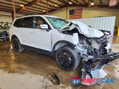Czwarte zdjęcie samochodu z boku: 2025 KIA TELLURIDE EX X-LINE VIN:5XYP3DGC8SG614465 - miniatura