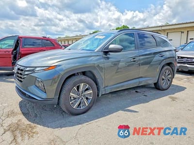 2024 HYUNDAI TUCSON BLUE KM8JBCD13RU223394 - główne zdjęcie licytacji z USA - miniatura