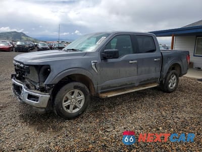 2025 FORD F150 XLT 1FTFW3L80SKE52694 - główne zdjęcie licytacji z USA - miniatura