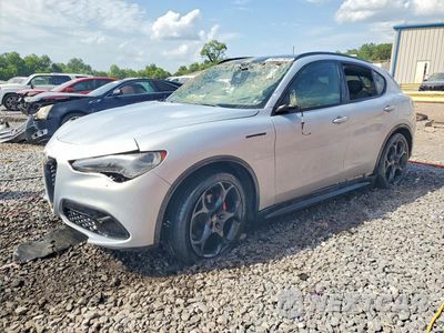 2024 ALFA ROMEO STELVIO TI ZASPAKBN8R7D75176 - główne zdjęcie licytacji z USA - miniatura