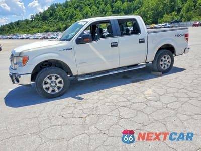 2013 FORD F150 SUPERCREW 1FTFW1ET5DFA36559 - główne zdjęcie licytacji z USA - miniatura