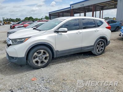 2019 HONDA CR-V EXL 5J6RW1H87KA010389 - główne zdjęcie licytacji z USA - miniatura