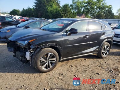 2021 LEXUS NX 300H BASE JTJGJRDZ2M2160638 - główne zdjęcie licytacji z USA - miniatura