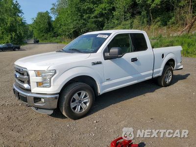 2015 FORD F150 SUPER CAB 1FTFX1EG4FKD31629 - główne zdjęcie licytacji z USA - miniatura