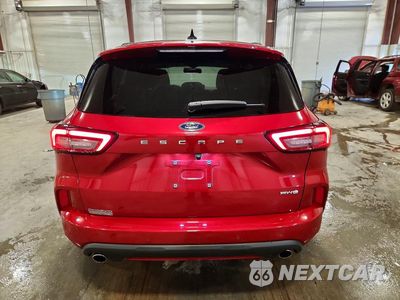 Zdjęcie 6 z 13 samochodu: 2024 FORD ESCAPE ST LINE ELITE VIN:1FMCU9PA8RUB25348 - miniatura