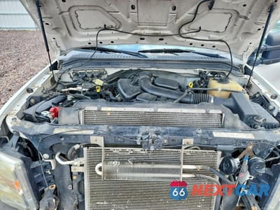 Zdjęcie 11 z 12 samochodu: 2009 FORD F250 SUPER DUTY VIN:1FTNX20549EA10619 - miniatura